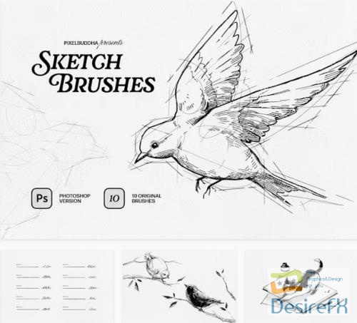 Sketch Brushes for Photoshop - 92539150