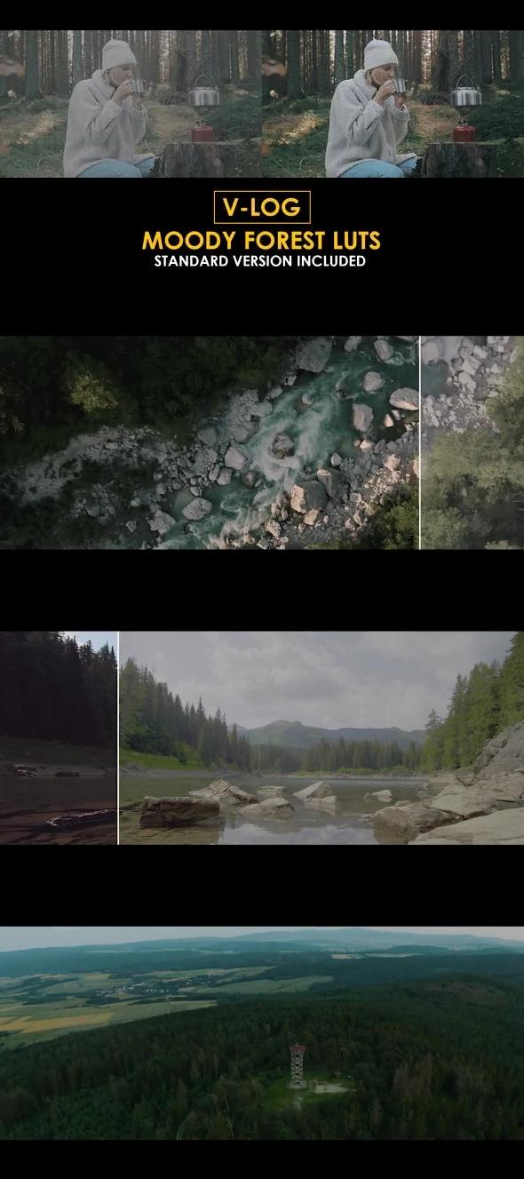 V-Log Moody Forest and Standard LUTs 51433971 Videohive