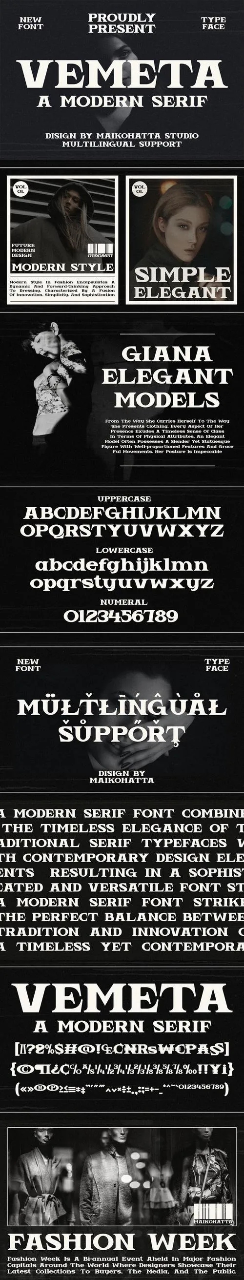 Vemeta - Modern Serif Font