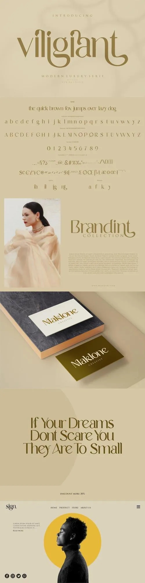 Viligiant - Modern Luxury Serif