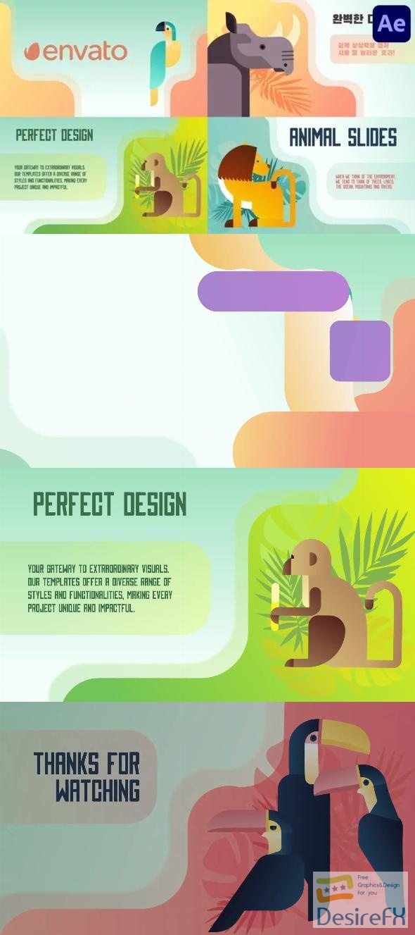Animal Slides for After Effects 52123377 Videohive