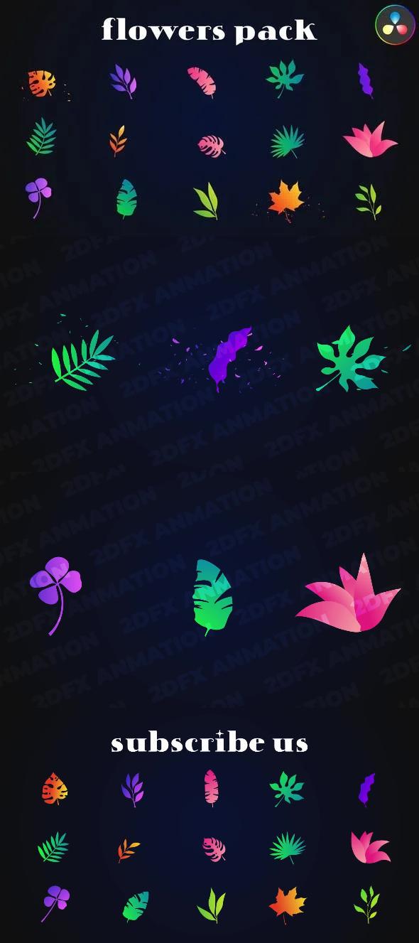 Colorful Flowers Pack for DaVinci Resolve 52077308 Videohive